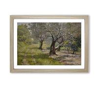 William Merritt Chase The Olive Grove Framed Print | A2 Oak Framed Wall Art | Ready to Hang | Modern Nature Picture | Living Room Bedroom Lounge Office