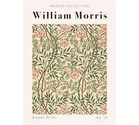 William Morris - Masters Collection Sweet Briar No 18 Vintage art Decor Wall Art Exibition Poster Panting Glycele print POP Art Framed unframed (A5 147 x 210mm)