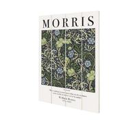 William Morris Seaweed Standard Plaque White/green (40Cm X 59Cm)