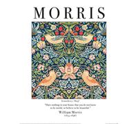 William Morris (Strawberry Thief)