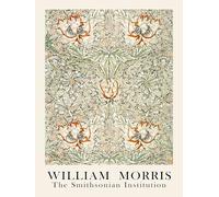 William Morris The Smithsonian Institution Art Print, Floral Pattern, Vintage Botanical Design, Decorative Wall Art 18 x 24 inch unframed poster print