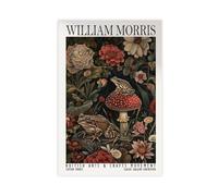 William Morris Toadstool And Frog Canvas Poster Wall Art Decor Print Picture Paintings for Living Room Bedroom Decoration 16x24inch(40x60cm)