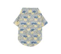 William Morris Vintage fruit Yellow Blue Summer Pet Dog Shirt Button Up Breathable Cool Short Sleeve Pet T-Shirt Puppy Clothes Perfect for Everyday Wear, and Photoshoots XL