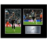 William Osula Football Player 2024-2025 A4 Printed Signed Poster Photo Display Mount Gift For Newcastle Fans