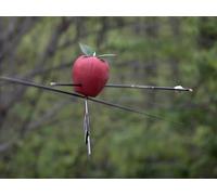 William Tell