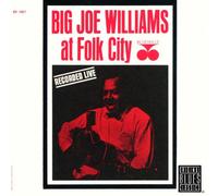 Williams, Big Joe - Big Joe at Folk City