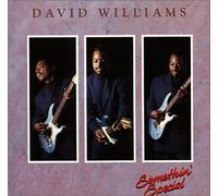 Williams David - Something Special