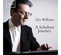 Williams,Llyr - Llyr Williams: A Schubert Journey