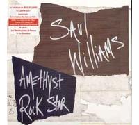 Williams,Saul - Amethyst Rock Star [Vinyl Maxi-Single] [VINYL]