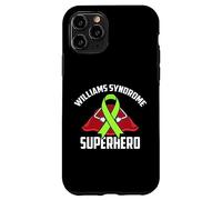 Williams Syndrome Superhero Warrior Fighter Green Ribbon Case for iPhone 11 Pro