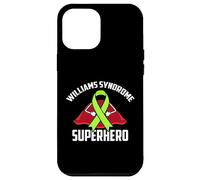 Williams Syndrome Superhero Warrior Fighter Green Ribbon Case for iPhone 12 Pro Max