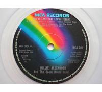 Willie Alexander - Alexander, Willie You've Lost That Loving Feeling 7" MCA MCA362 EX 1978 & Boom Boom Band