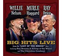 WILLIE MERLE & RAY: BIG HITS LIVE FROM THE LAST - Willie Merle & Ray: Big Hits L