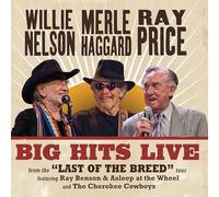 Willie Nelson - Big Hits Live From The Last Of The Breed Tour