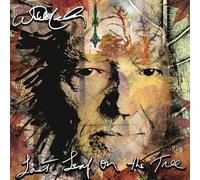 Willie Nelson - LAST LEAF ON THE TREE - CD LONGPLAY - F600z
