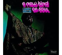 WILLIS,LARRY - New Kind Of Soul