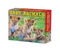 Willow Creek Press, Baby Animals 2027 5.4" x 6.2" Box Calendar