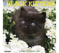 Willow Creek Press, Black Kitties 2027 Wall Calendar