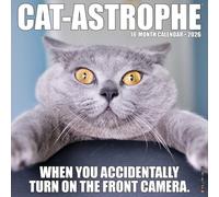 Willow Creek Press Cat-astrophe 2026 Wall Calendar - 18-Month Cat Calendar with Funny Cat Photography, Mischievous Antics & Humorous Captions (12" x 12")