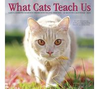 Willow Creek Press, Cats What Cats Teach Us 2027 Mini Wall Calendar