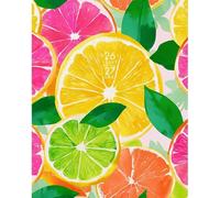 Willow Creek Press, Citrus Squeeze Academic 2027 Pocket Planner
