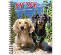 Willow Creek Press Crusoe the Celebrity Dachshund 2026 Engagement Planner - Weekly Dachshund Planner with Full-Color Photography & Organization Features (6.5" x 8.5")