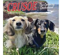 Willow Creek Press Crusoe the Celebrity Dachshund 2026 Mini Wall Calendar - 18-Month Dog Calendar with Crusoe & Friends Photography (7" x 7")