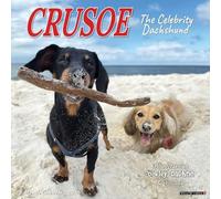 Willow Creek Press Crusoe the Celebrity Dachshund 2026 Wall Calendar - 18-Month Dog Calendar with Full-Color Dachshund Photography, Adventures & Holidays (12" x 12")
