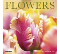 Willow Creek Press, Flowers 2027 7" x 7" Mini Wall Calendar