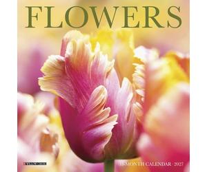 Willow Creek Press, Flowers 2027 7" x 7" Mini Wall Calendar