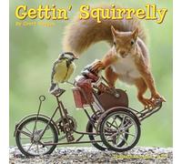 Willow Creek Press, Gettin Squirrelly 2027 7" x 7" Mini Wall Calendar