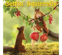 Willow Creek Press Getting Squirrelly 2026 Wall Calendar - 18-Month Squirrel Humor Calendar with Whimsical Wildlife Photography (12" x 12")