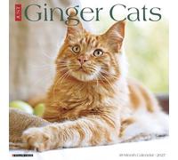 Willow Creek Press, Ginger Cats 2027 Wall Calendar