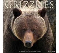 Willow Creek Press, Grizzly Bears 2026 Wall Calendar, 12'' X 12'', 18-Month Calendar with Stapled Binding