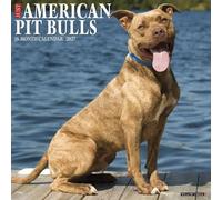 Willow Creek Press, Just American Pit Bulls 2027 Wall Calendar