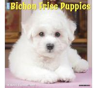 Willow Creek Press, Just Bichon Frises Puppies 2027 Wall Calendar