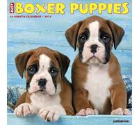 Willow Creek Press, Just Boxer Puppies 2027 Wall Calendar