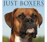 Willow Creek Press, Just Boxers 2027 Wall Calendar