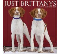 Willow Creek Press, Just Brittanys 2027 Wall Calendar