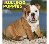 Willow Creek Press, Just Bulldog Puppies 2027 Wall Calendar