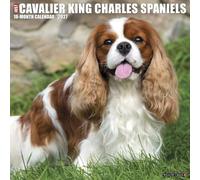 Willow Creek Press, Just Cavalier King Charles 2027 Wall Calendar