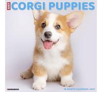 Willow Creek Press, Just Corgi Puppies 2027 Wall Calendar