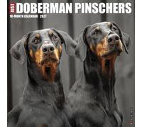 Willow Creek Press, Just Doberman Pinschers 2027 Wall Calendar