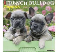 Willow Creek Press, Just French Bulldog Puppies 2027 Wall Calendar