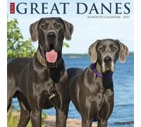Willow Creek Press, Just Great Danes 2027 Wall Calendar