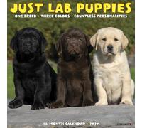 Willow Creek Press, Just Lab Puppies 2027 Wall Calendar
