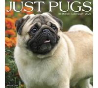 Willow Creek Press, Just Pugs 2027 Wall Calendar