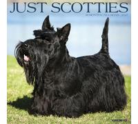 Willow Creek Press, Just Scotties 2027 Wall Calendar