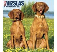 Willow Creek Press, Just Vizslas 2027 Wall Calendar
