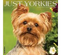 Willow Creek Press, Just Yorkies 2026 Wall Calendar, 12'' X 12'', 18-Month Calendar with Stapled Binding